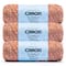 3 Pack Caron® Simply Soft Sunkissed™ Tonal Yarn